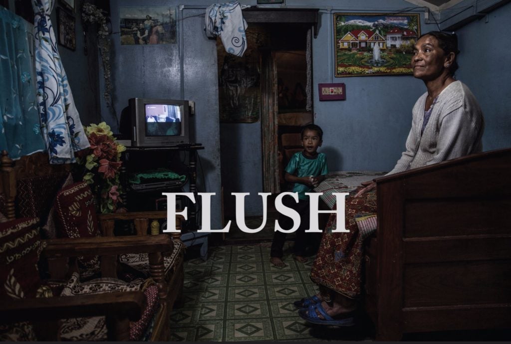 flush-flyer