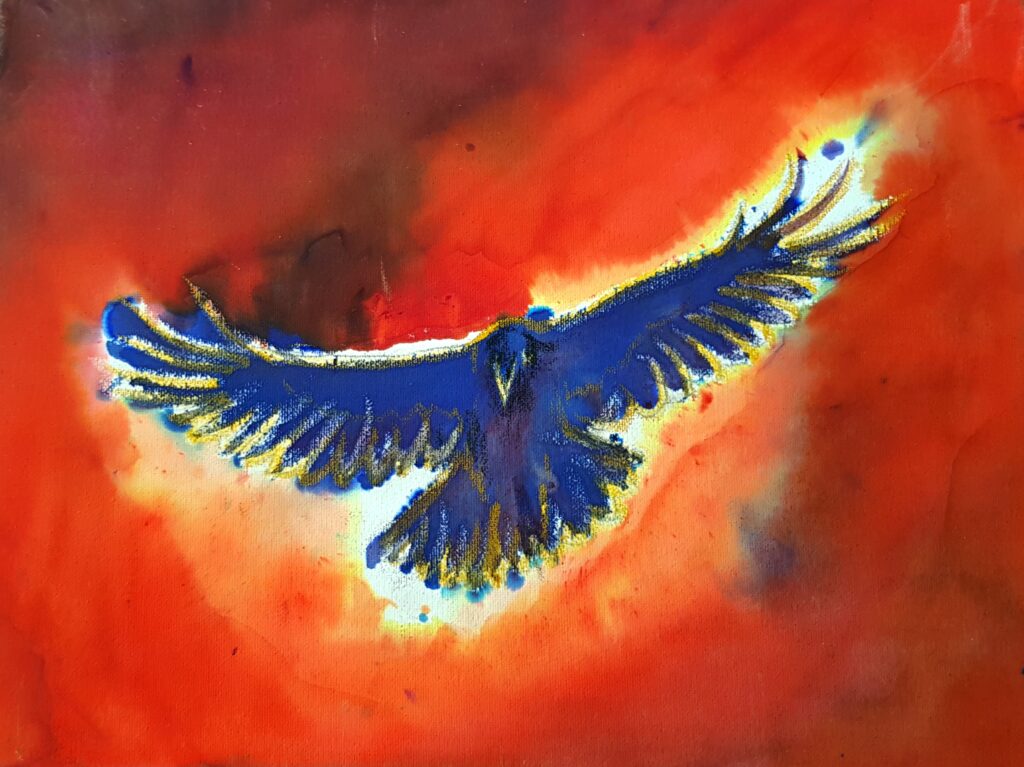  View from underneath of royal blue crow, edged in yellow. Background shades of reds with black.