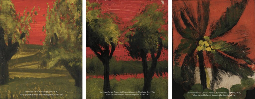 Three paintings of trees with green leaves against a red background