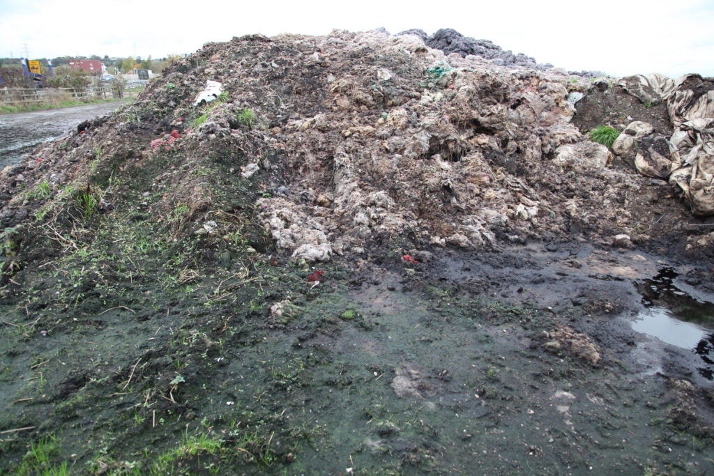 A heap of shoddy material, with plants and organic matter growing all over it.