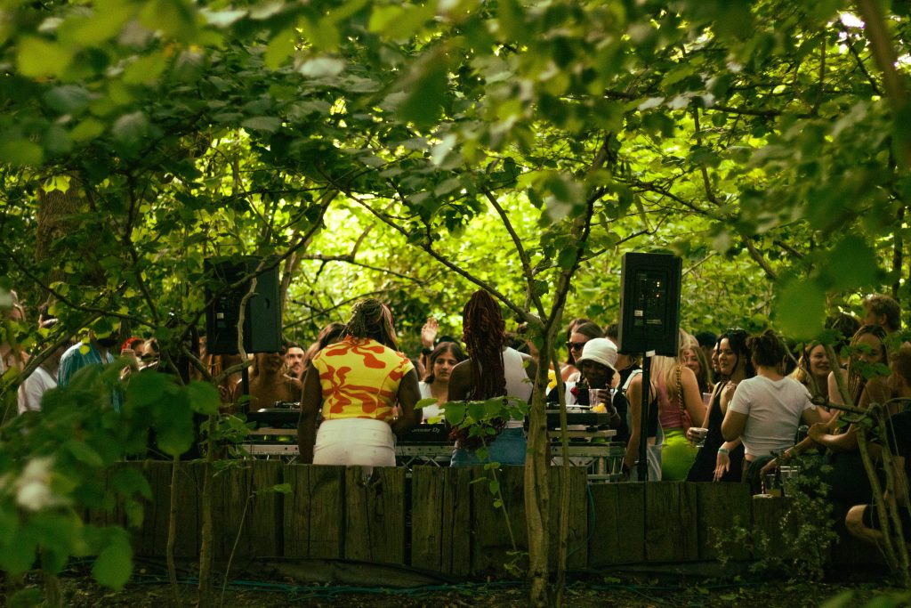 Crowd at Green Island festival